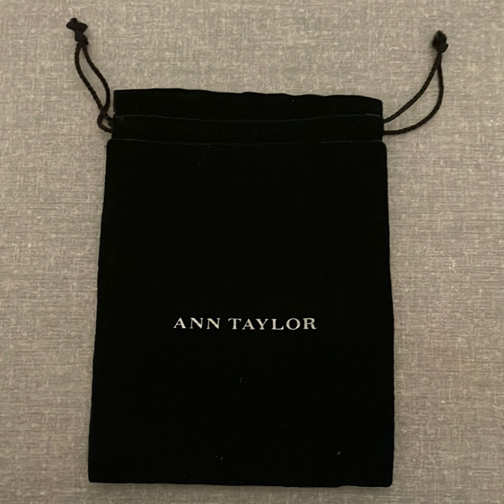 Ann Taylor dust bag in black velvet